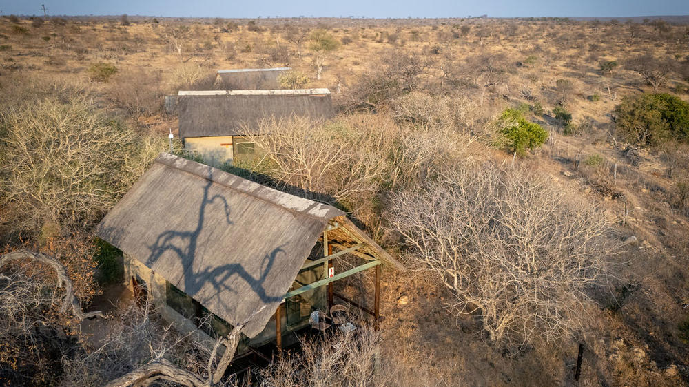 Sausage Tree Safari Camp