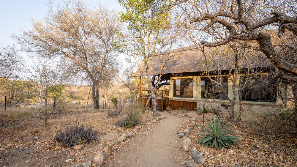 Sausage Tree Safari Camp