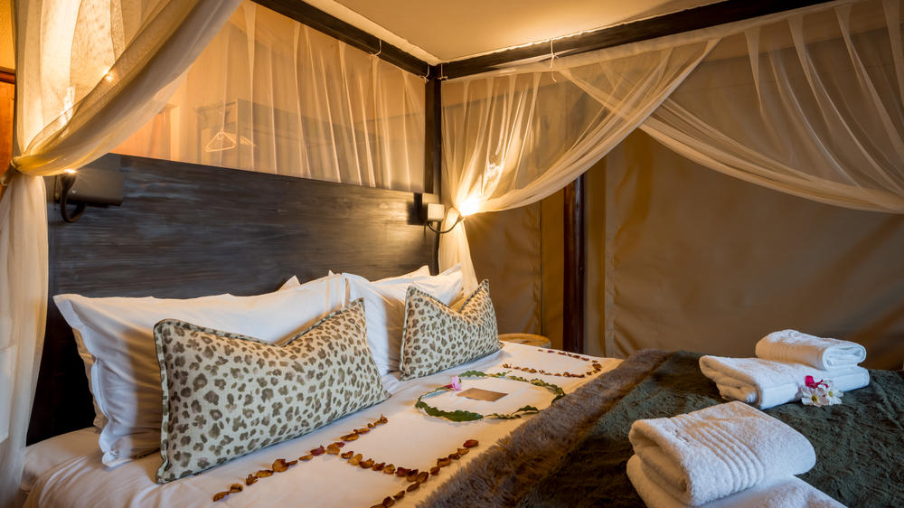Sausage Tree Safari Camp