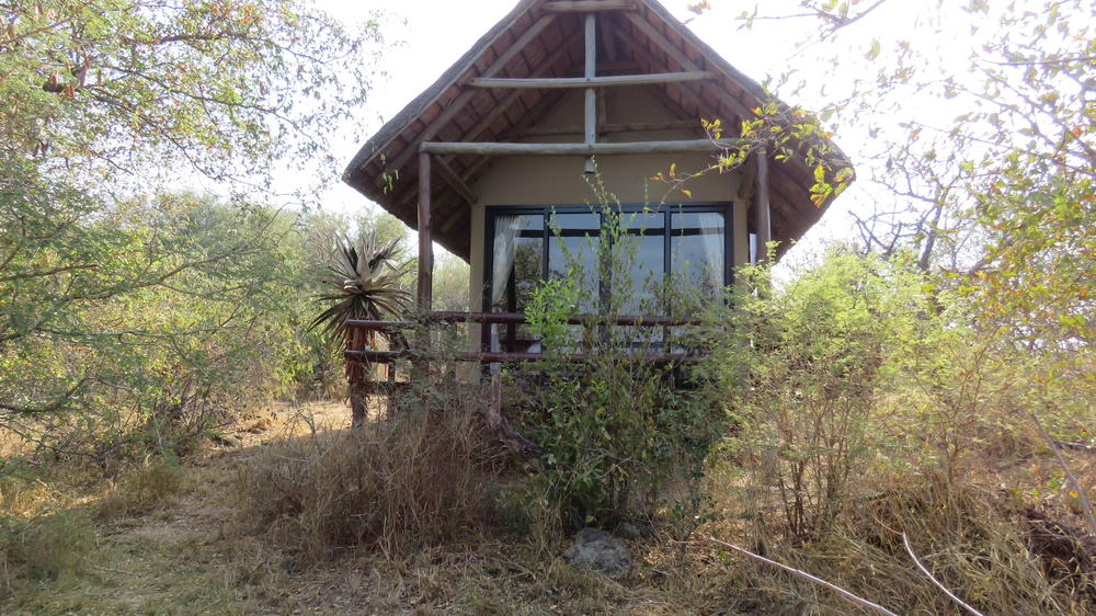 Sausage Tree Safari Camp
