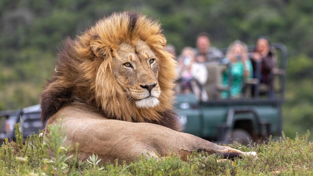 Kariega Settlers Drift