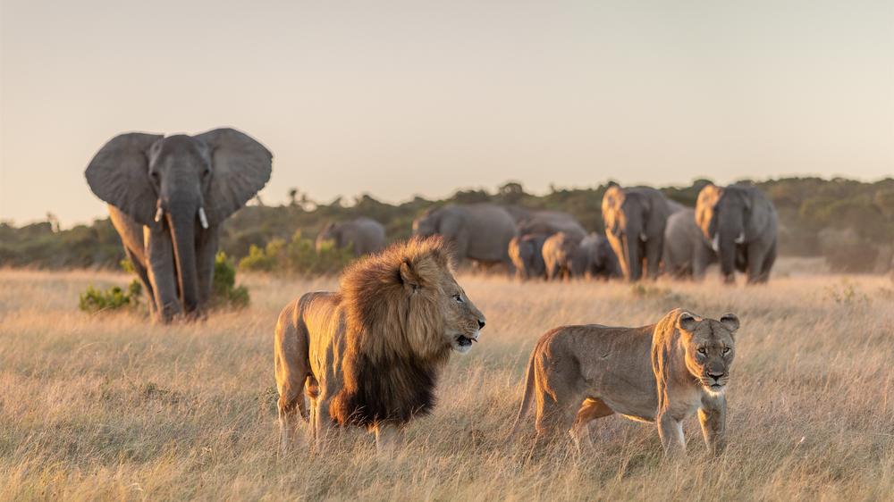 Kariega Settlers Drift