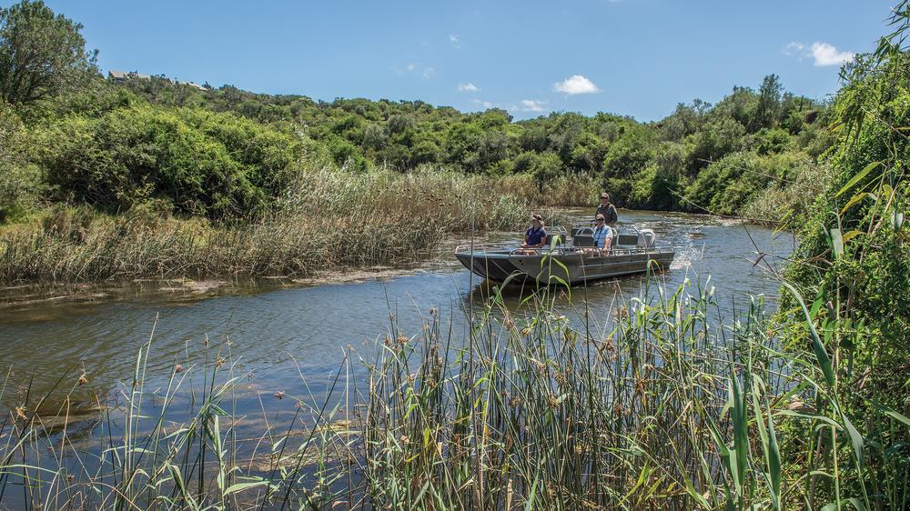 Kariega Settlers Drift