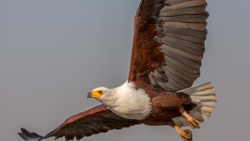 Kariega Settlers Drift