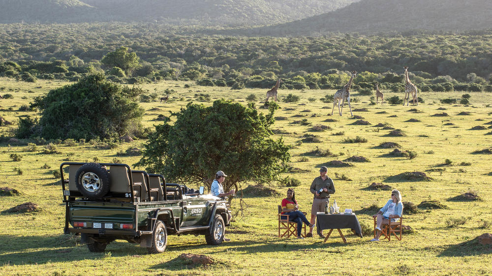 Kariega Settlers Drift