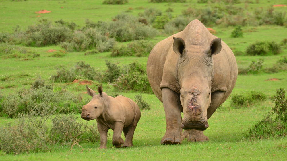 Kariega Settlers Drift