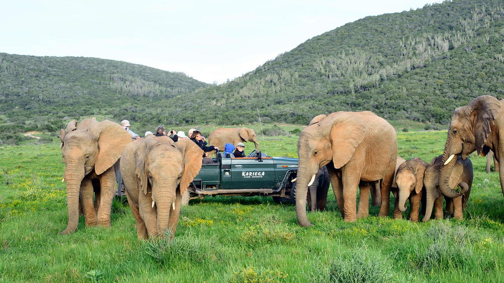Kariega Settlers Drift