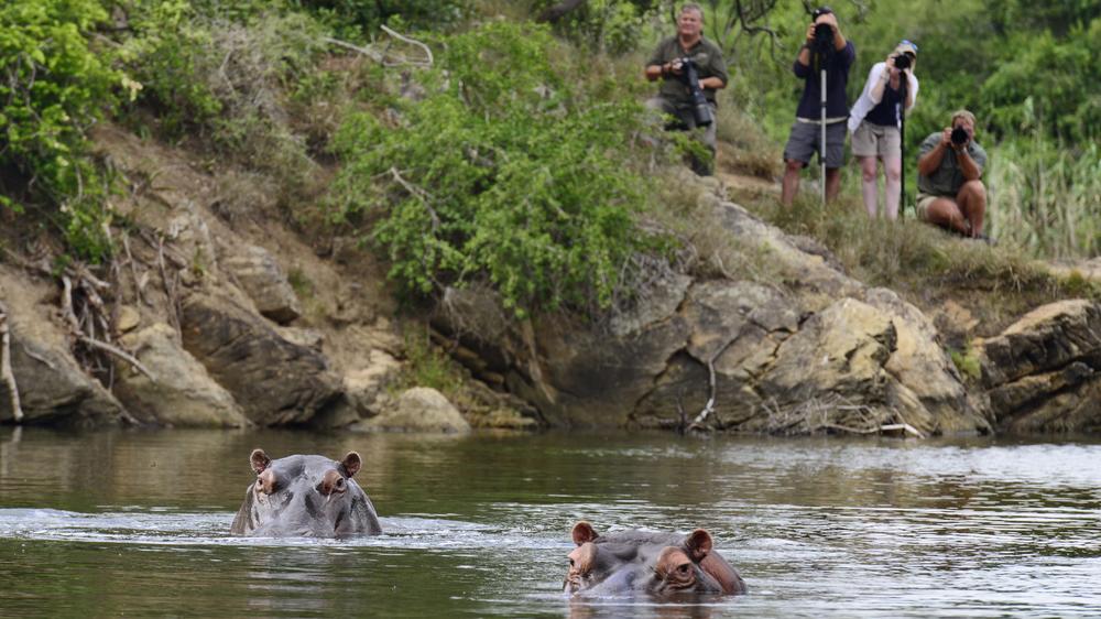 Kariega Settlers Drift