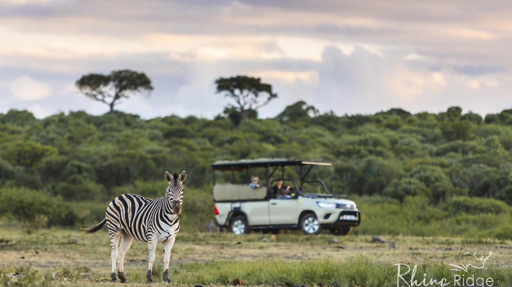 Rhino Ridge Safari Lodge