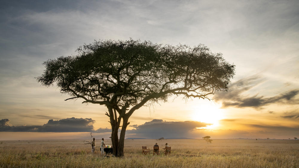 Serengeti Sametu Camp