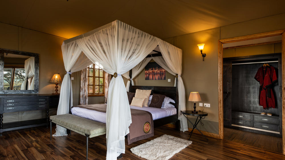 Ngorongoro Lion's Paw