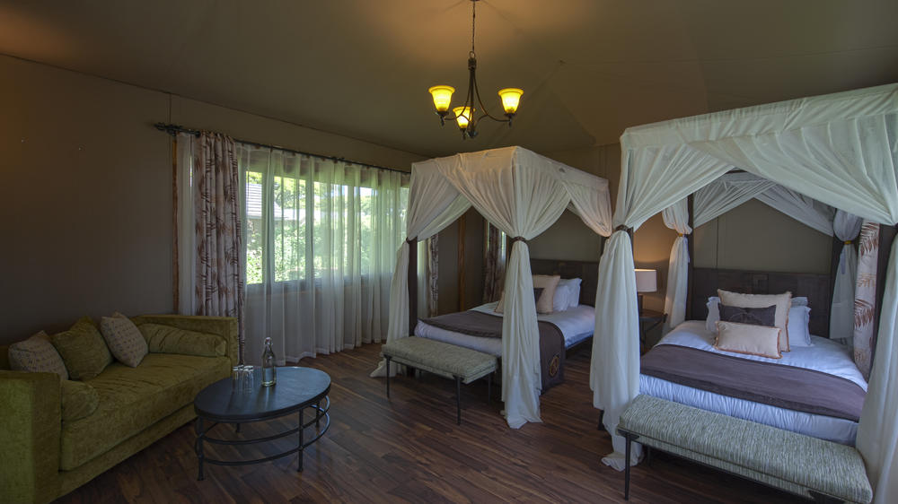 Ngorongoro Lion's Paw