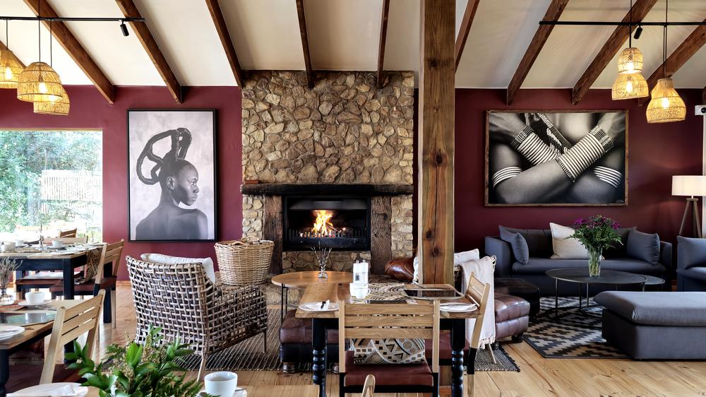 Elephant Hide of Knysna