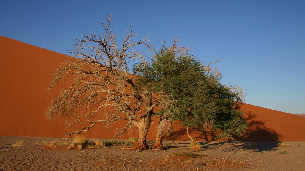 Sossusvlei