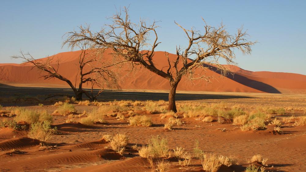 Sossusvlei