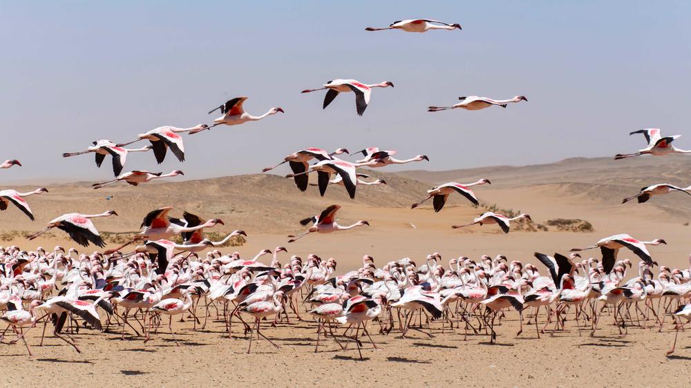 Swakopmund