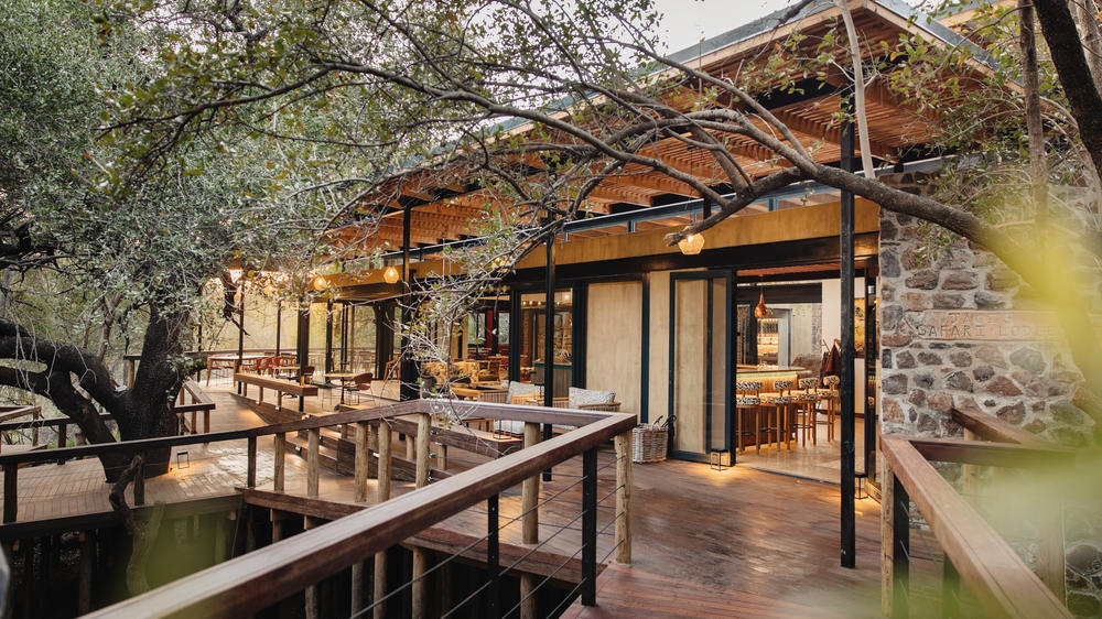 South Africa - 4-day Madikwe Safari with Jaci's - Tailored Driven