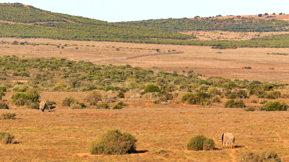 Greater Addo