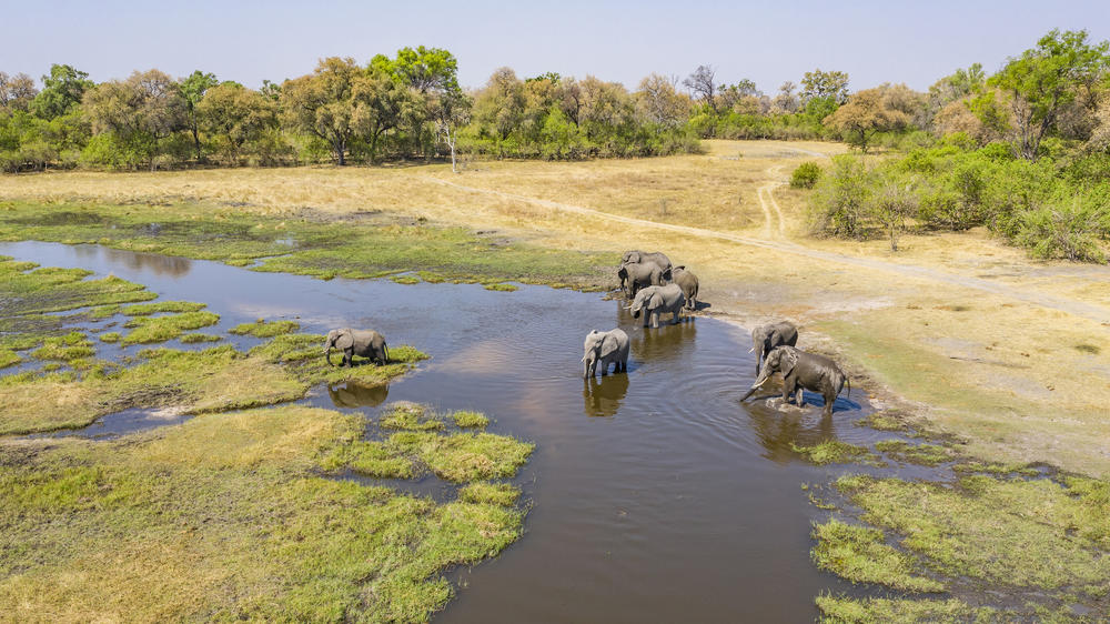 Okavango Delta