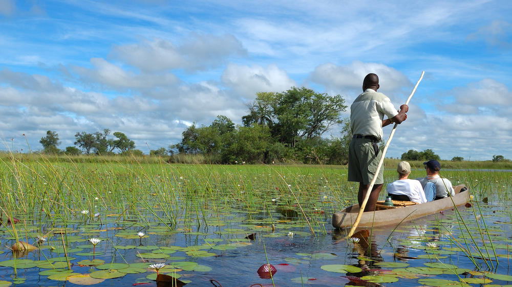 Okavango Delta