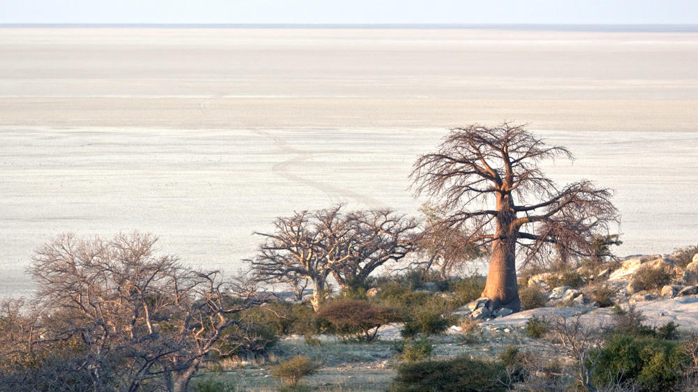 Makgadikgadi Salt Pans