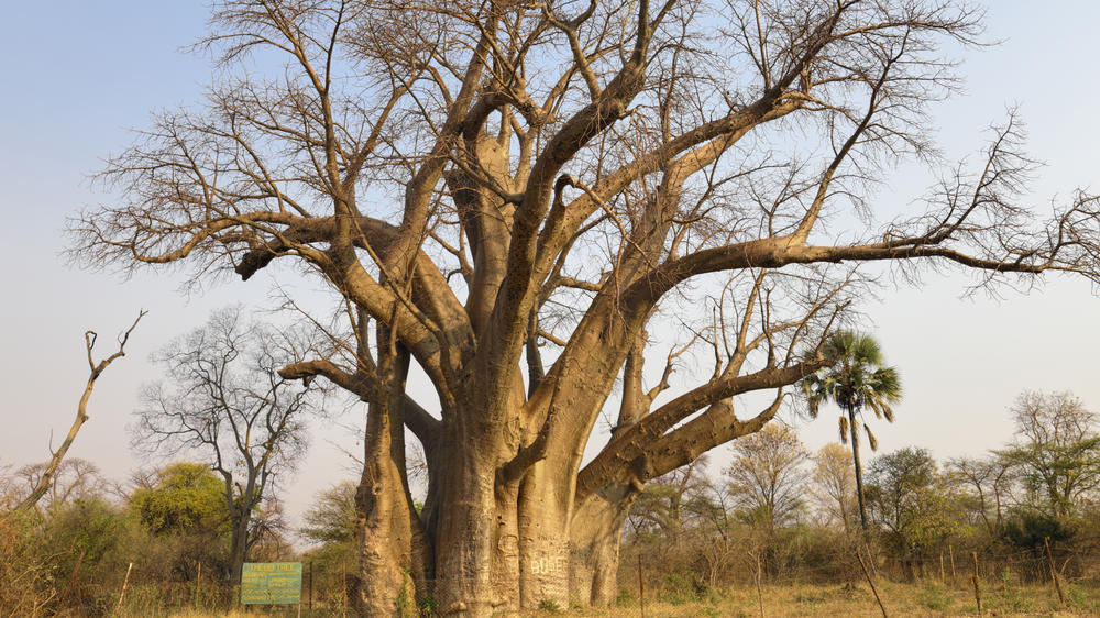 Victoria Falls (Zimbabwe)