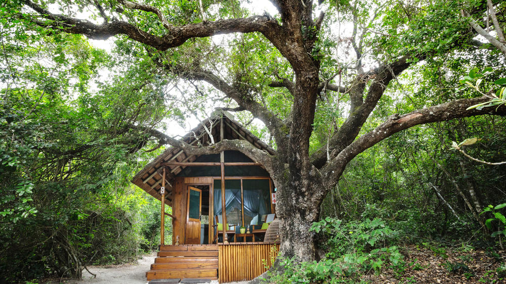 Kosi Forest Lodge
