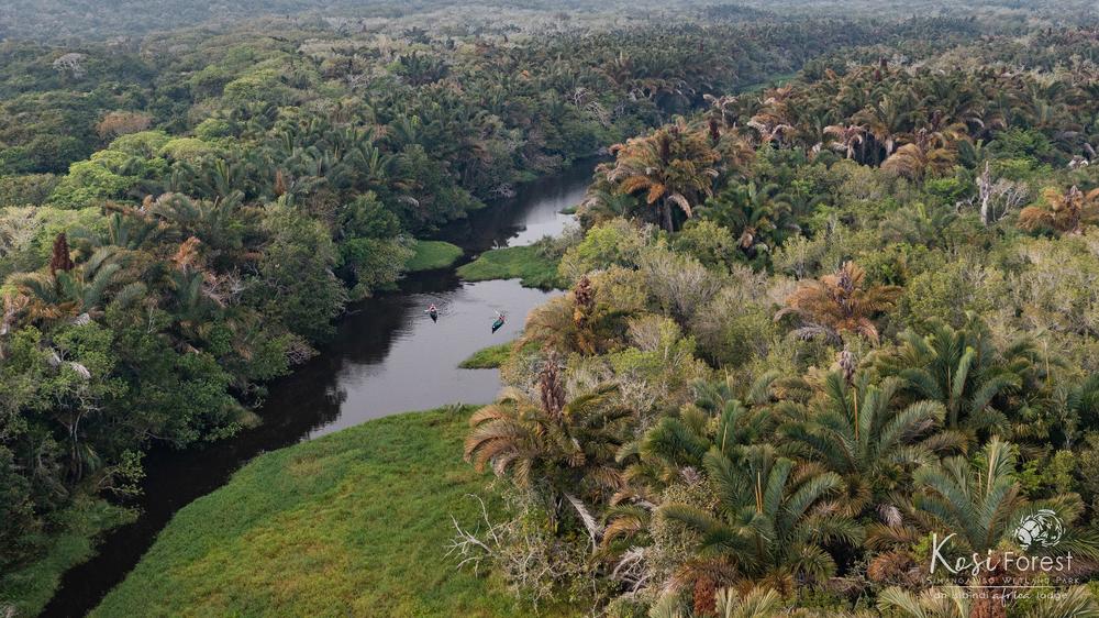 Kosi Forest Lodge