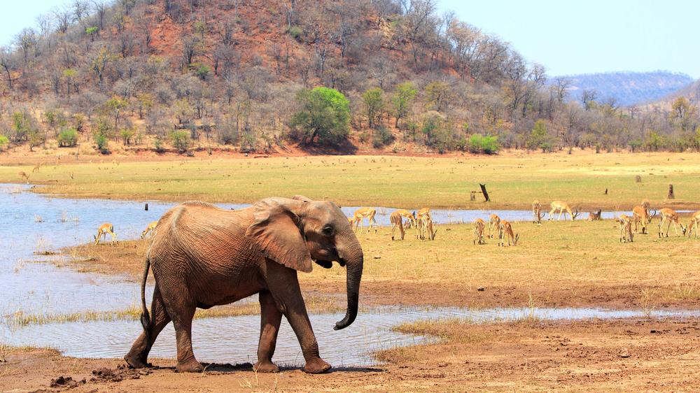 Lake Kariba