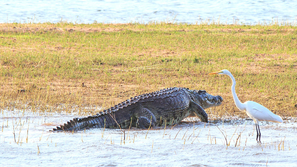 Lake Kariba