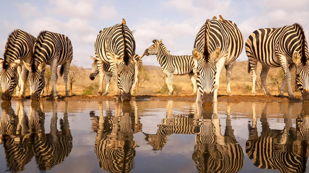 Kruger National Park