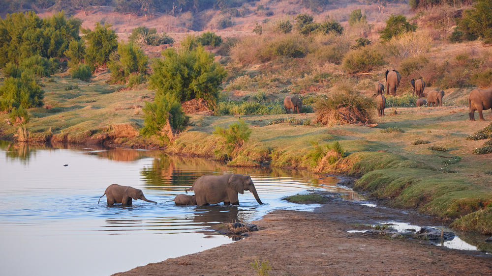 Kruger National Park