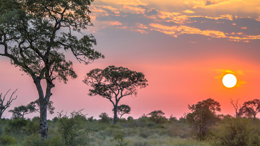 Kruger National Park