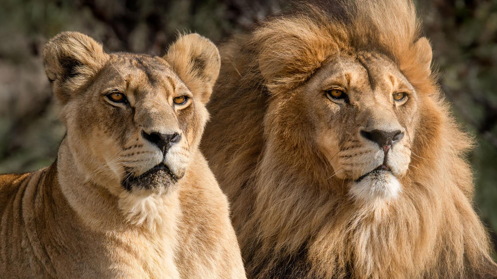 Kruger National Park