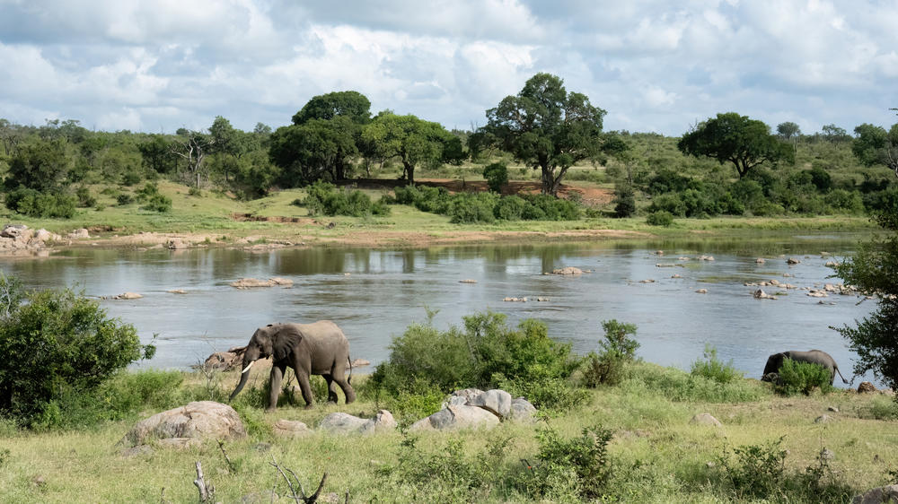 Kruger National Park