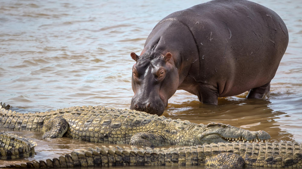 Kruger National Park