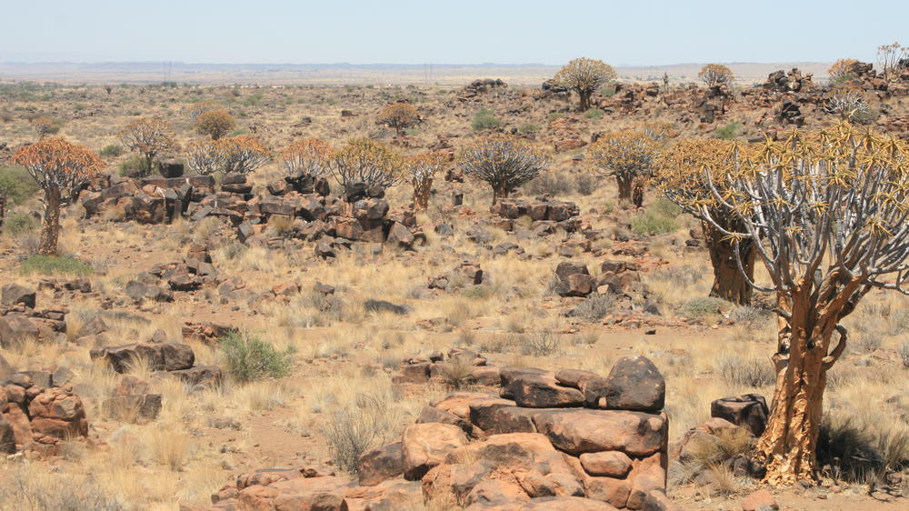 Garas Park Rest Camp