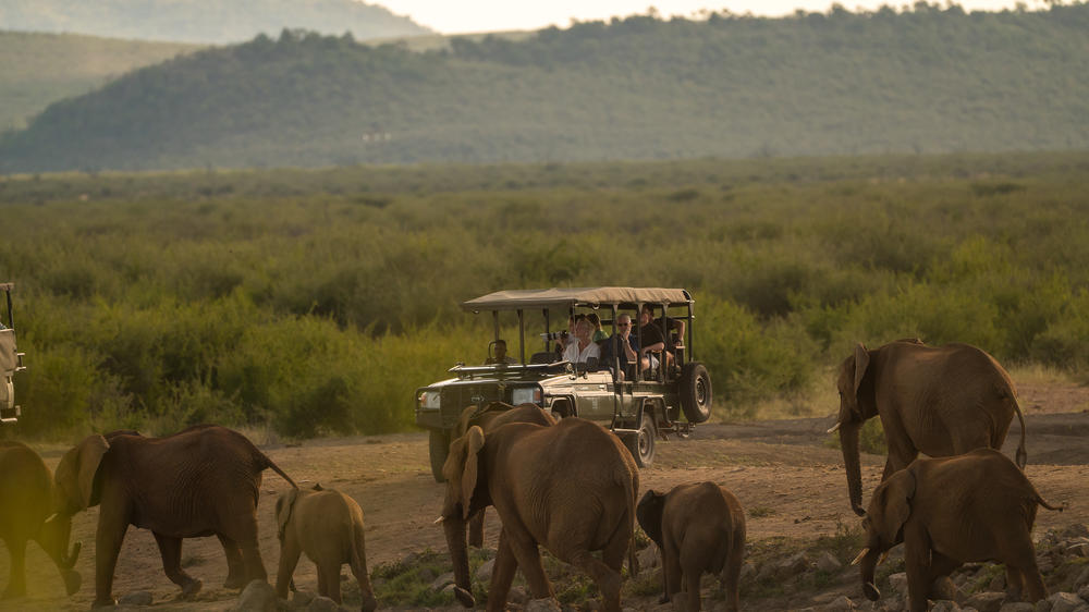 Tau Game Lodge