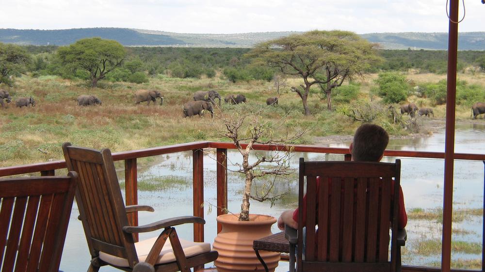 South Africa - 4-Day Madikwe Safari with Tau Game Lodge - Private accommodated