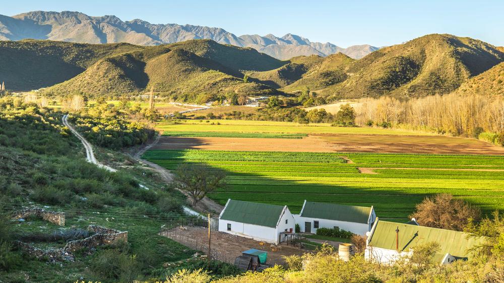 Oudtshoorn