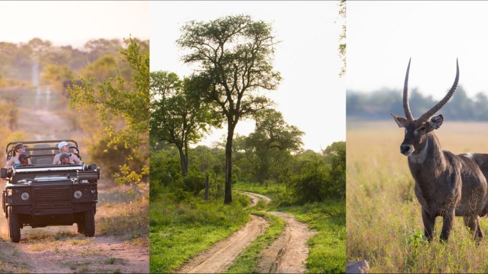 Buffelshoek Tented Camp
