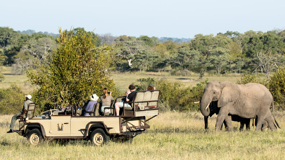 Chitwa Chitwa Private Game Lodge