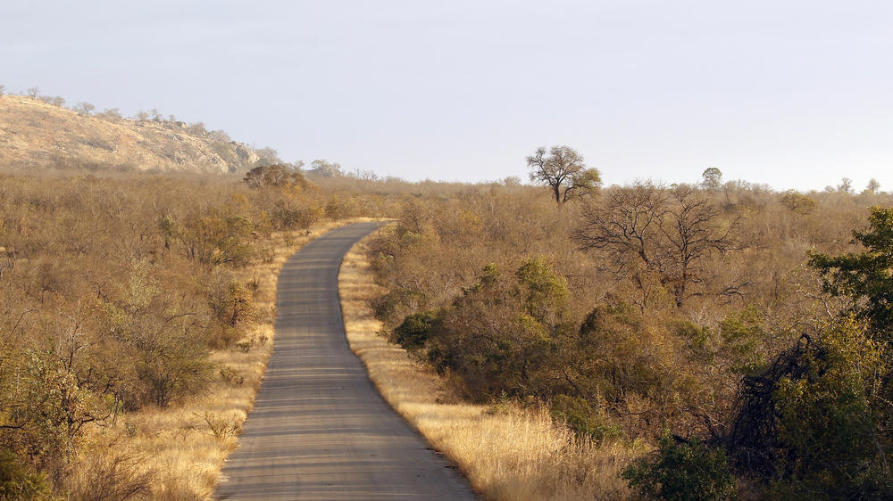 Hoedspruit