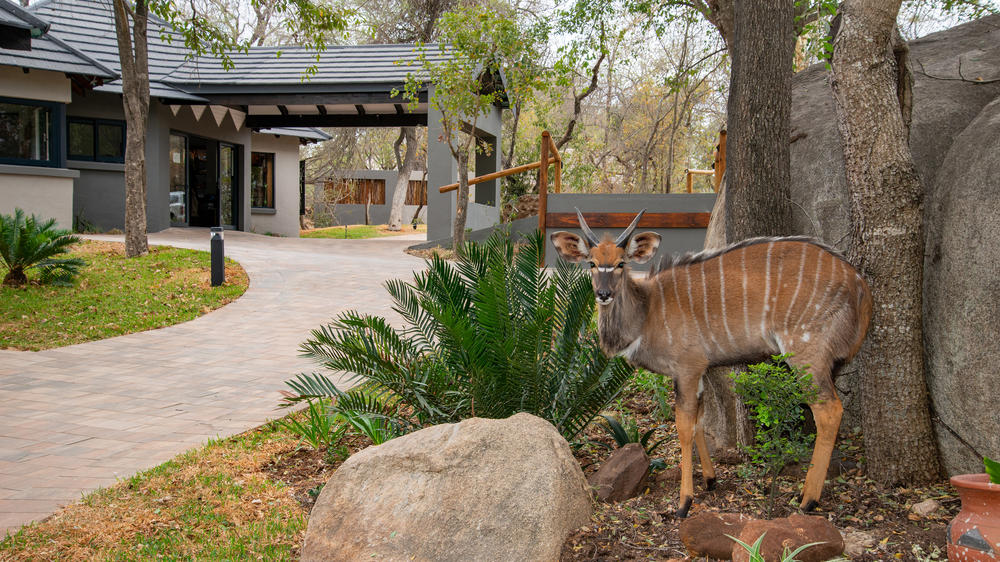 Idube Game Reserve
