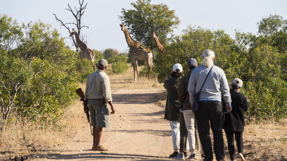 Inyati Game Lodge, Sabi Sand Nature Reserve