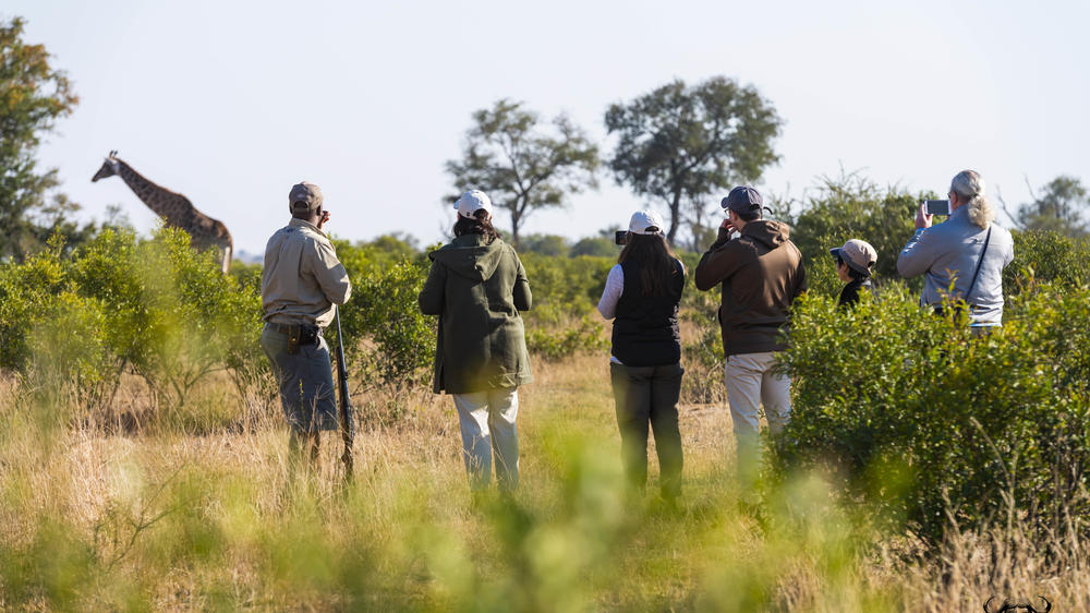Inyati Game Lodge, Sabi Sand Nature Reserve