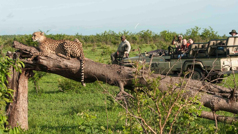 Inyati Game Lodge, Sabi Sand Nature Reserve