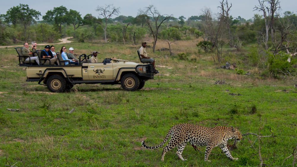 Inyati Game Lodge, Sabi Sand Nature Reserve