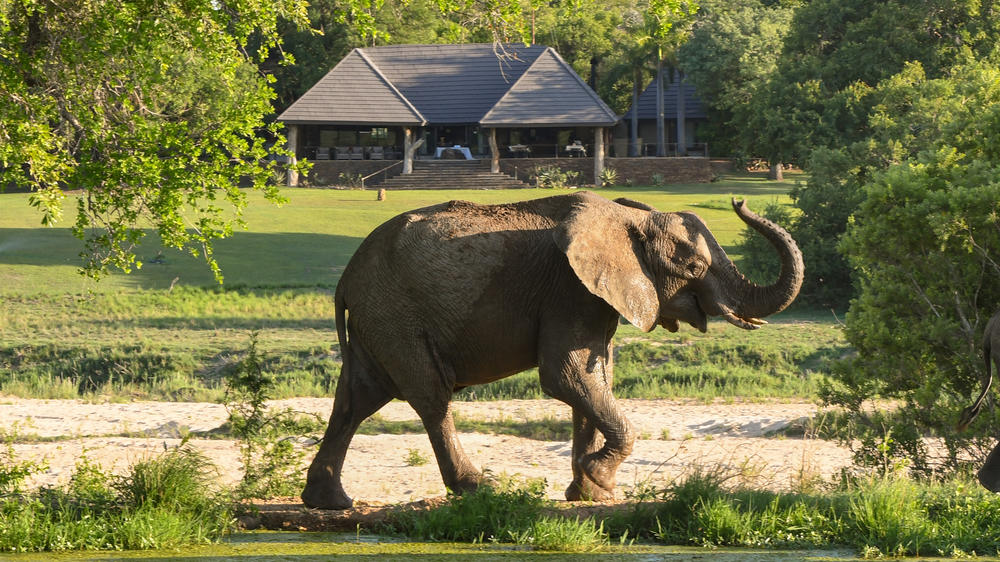 South Africa - 4-day Sabi Sand Safari at Inyati Game Lodge - Private accommodated