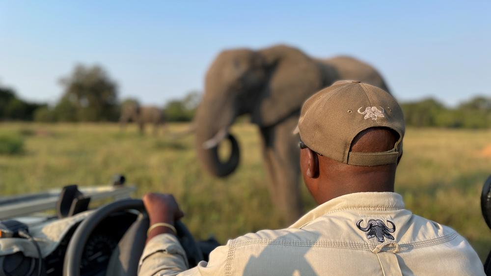 Inyati Game Lodge, Sabi Sand Nature Reserve